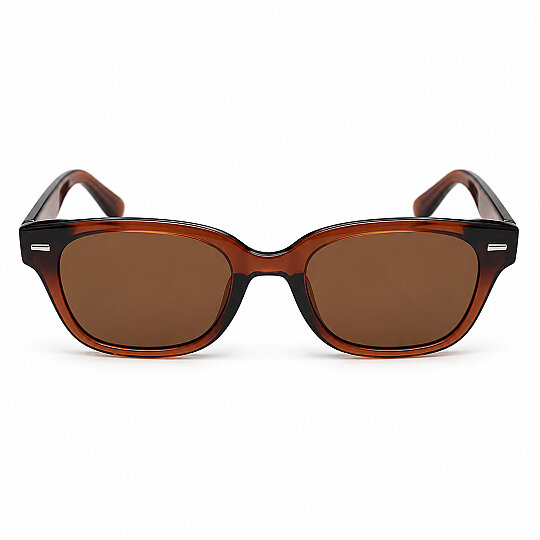 Goodlook GL309 Kahverengi Erkek Polarize Güneş Gözlüğü 51-21